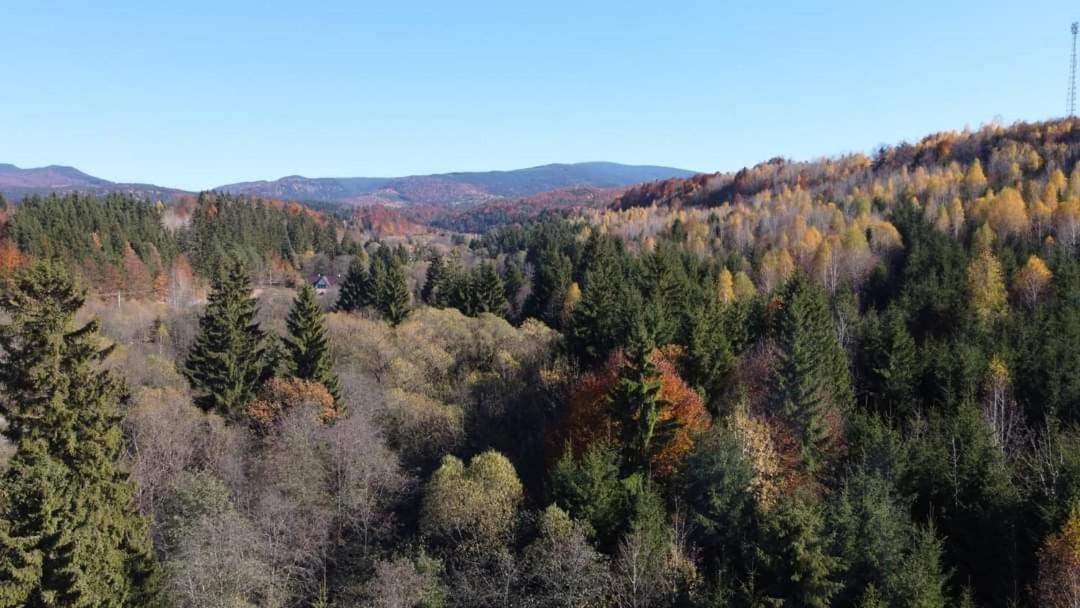 Patakvoelgye Vendeghaz Villa Izvoare  Bagian luar foto