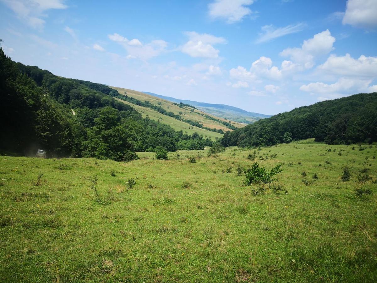 Patakvoelgye Vendeghaz Villa Izvoare  Bagian luar foto