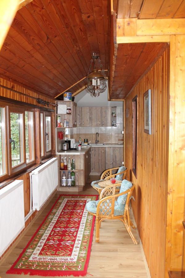 Patakvoelgye Vendeghaz Villa Izvoare  Bagian luar foto